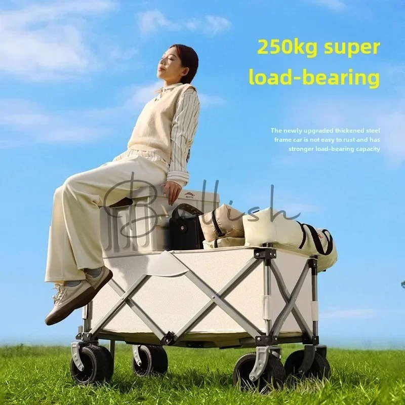 Carrello da campeggio pieghevo - Outdoor Camping Trolley recensione e prezzo