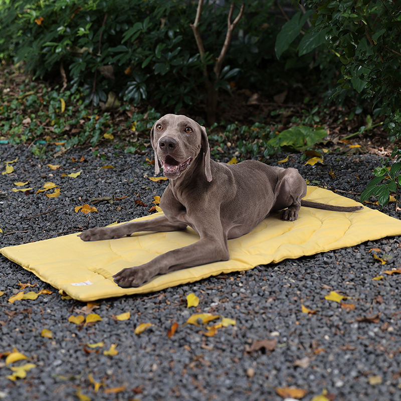 Tappetino per animali domestic - Outdoor Camping Rug recensione e prezzo