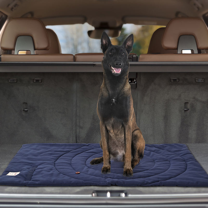 Tappetino per animali domestic - Outdoor Camping Rug recensione e prezzo