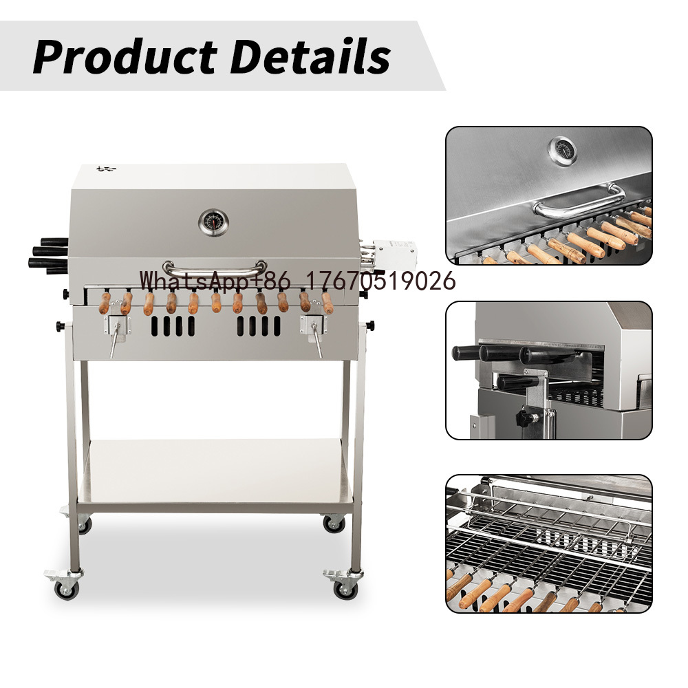 Griglia BBQ Moderna per Estern - Outdoor Camping Trolley recensione e prezzo