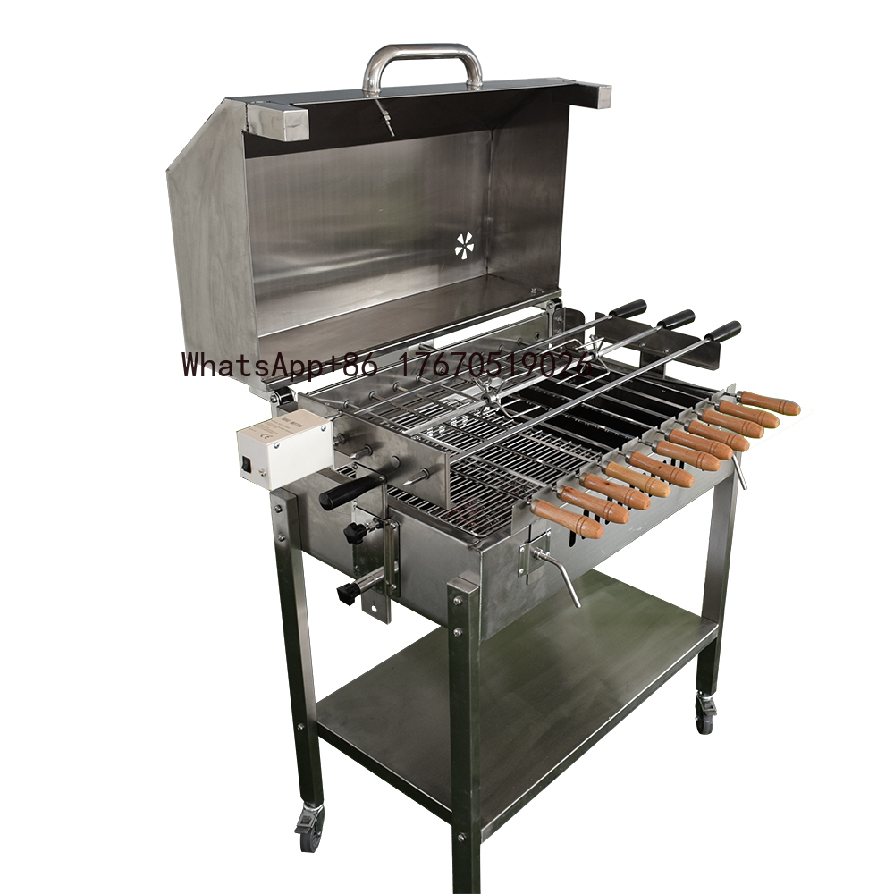 Griglia BBQ Moderna per Estern - Outdoor Camping Trolley recensione e prezzo