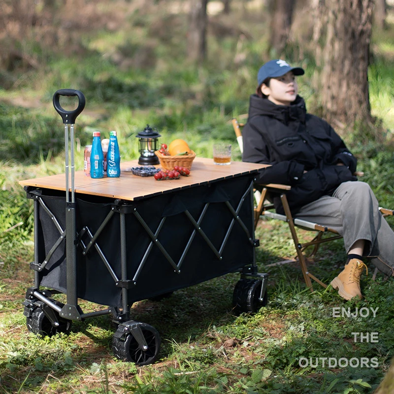 Carrello da Campeggio MOEYE 22 - Outdoor Camping Trolley recensione e prezzo
