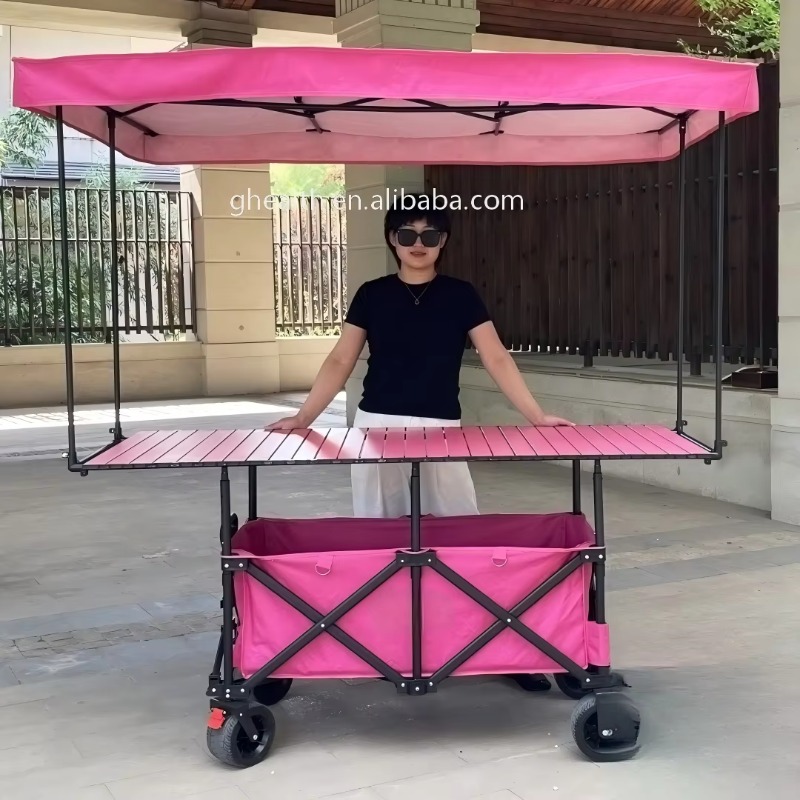 Carrello Pieghevole in Acciaio - Outdoor Camping Trolley recensione e prezzo